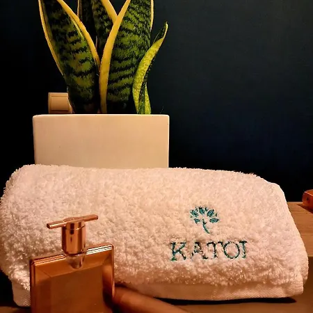 Katoi Traditional House Exo Khora Extérieur photo